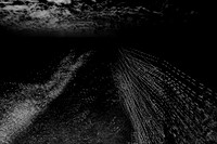 chrisfriel-12