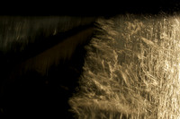 20140203-030214 #288