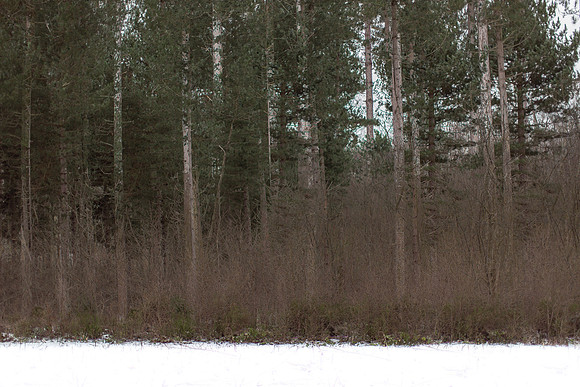 2013-01-25-59