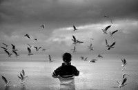 Feeding the birds 3