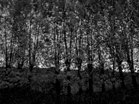 280815-366