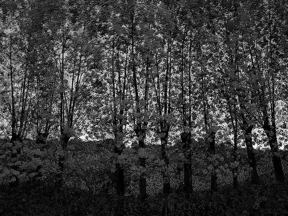 280815-366