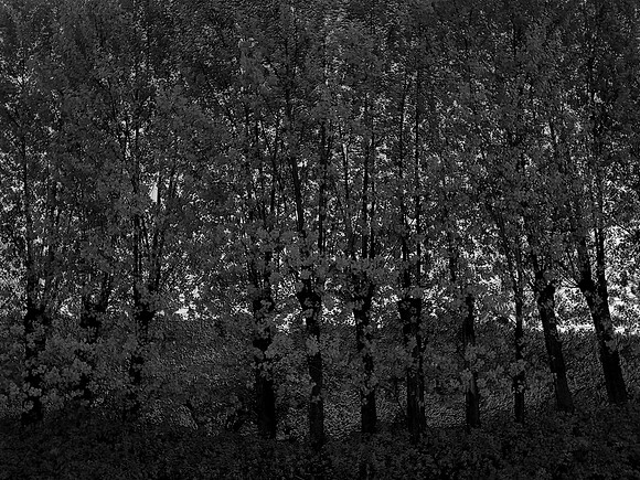 280815-392