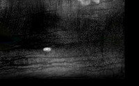 11-116