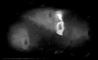 39-107