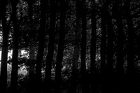 060915-3-9