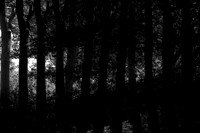 060915-3-26