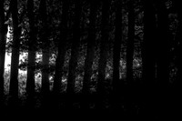 060915-3-47