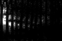 060915-3-59