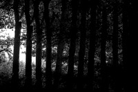 060915-3-66