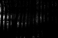 060915-3-116