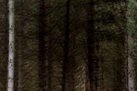 080915-34