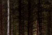 080915-35
