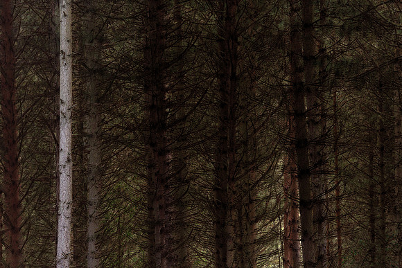 080915-35