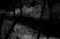 140915-296-2-2