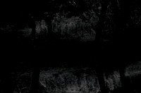 140915-296-3-2-2
