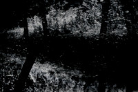 140915-296-2-2-2-2