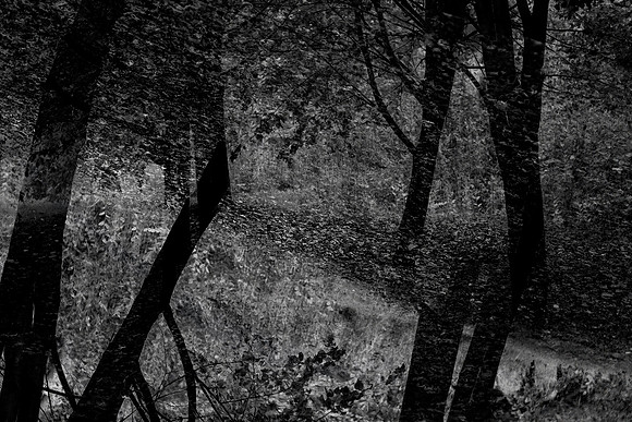 140915-381-3
