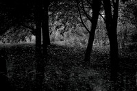 140915-381-4-2