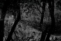 140915-381-3-2-2