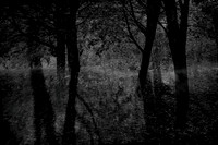 140915-381-5