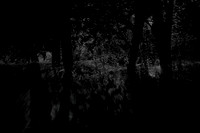 140915-381-2-2