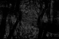 140915-381-3-3