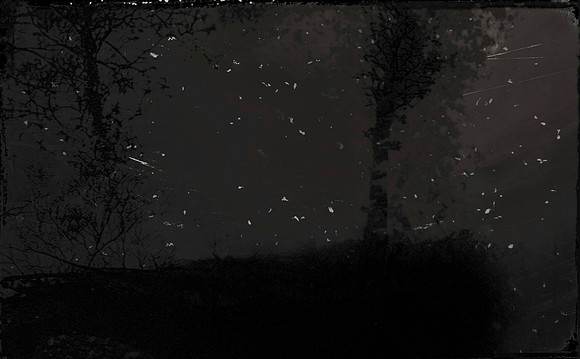 13-1131