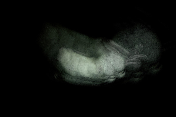 280314 #302