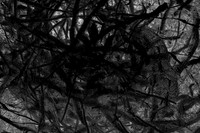 180915-61
