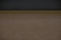 170714-7