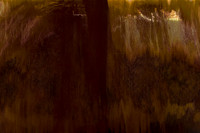 frame010_2013-09-22-217-2-2