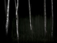 250515-70-4