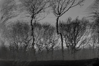 041214-53-9