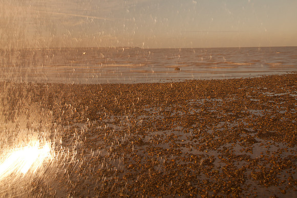2012-01-06-185-2