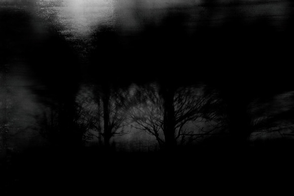 chrisfriel-15-6
