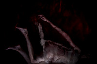 231015-272-19