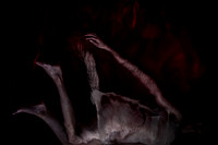 231015-272-20