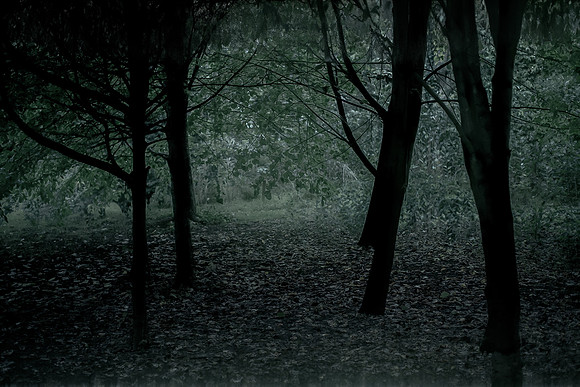 frame002_140915-380-4-2