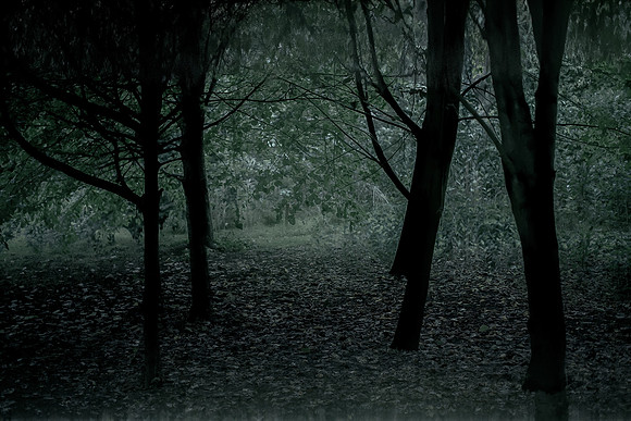 frame003_140915-380-4-2