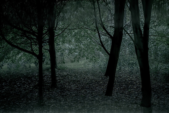 frame004_140915-380-4-2