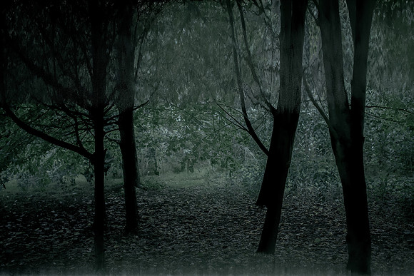 frame008_140915-380-4-2
