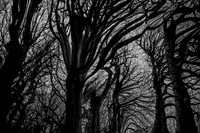 chrisfriel-5-7