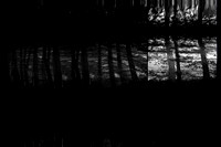 260216-8