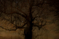 250115-145