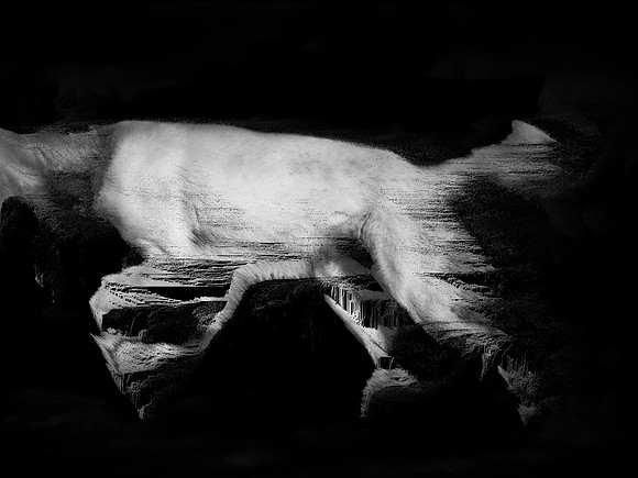 frame190_dog #142-3-2