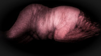 200116-2-7