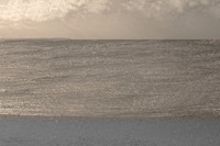 wave #231
