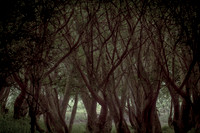 2013-06-04-110