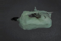 250314 #176-2-12